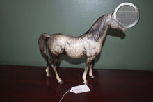 Load image into Gallery viewer, Dapple Grey Arabian #4-Proud Arabian Mare Mold-Breyer Traditional