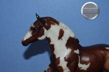 Load image into Gallery viewer, Van Gogh-Action Stock Horse Foal Mold-Breyer Traditional