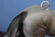 Load image into Gallery viewer, Wintersong-Holiday Exclusive-No Costume-Othello Mold-Breyer Traditional