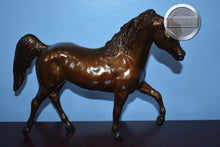 Load image into Gallery viewer, Hyksos #5614-Black Stallion Mold-Breyer Traditional