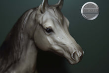 Load image into Gallery viewer, Dapple Grey Arabian #4-Proud Arabian Mare Mold-Breyer Traditional