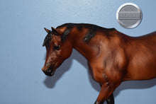 Load image into Gallery viewer, Sayan-Indian Pony Mold-Breyer Traditional