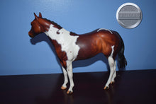 Load image into Gallery viewer, Resolute-XFCM-Matte-LE of 10-Ideal Stock Horse Mold-Peter Stone