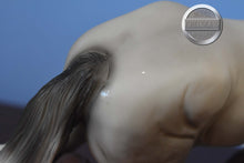 Load image into Gallery viewer, Wintersong-Holiday Exclusive-No Costume-Othello Mold-Breyer Traditional