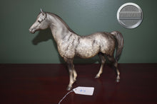 Load image into Gallery viewer, Dapple Grey Arabian #4-Proud Arabian Mare Mold-Breyer Traditional