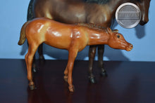 Load image into Gallery viewer, Thoroughbred Mare and Foal-Nursing Mare and Foal Mold-Breyer Traditional