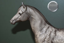 Load image into Gallery viewer, Dapple Grey Arabian #4-Proud Arabian Mare Mold-Breyer Traditional