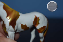 Load image into Gallery viewer, Holly-Orange/Gold Autumn OOAK-Stockhorse Chip Mold-Peter Stone Chip
