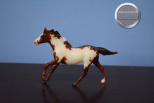 Load image into Gallery viewer, Raider-Stablemate Club Exclusive-With Box-Breyer Stablemate