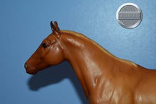 Load image into Gallery viewer, Chestnut Appaloosa-Sears Exclusive-Appaloosa Performance Horse-Breyer Traditional