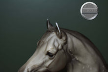 Load image into Gallery viewer, Dapple Grey Arabian #4-Proud Arabian Mare Mold-Breyer Traditional