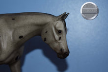 Load image into Gallery viewer, Zipped in Black Magic-Breyerfest Exclusive-Zippo Pine Bar Mold-Breyer Traditional