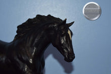 Load image into Gallery viewer, Black Beauty-4 Socks-Black Beauty Mold-Breyer Traditional