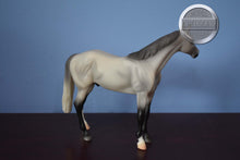 Load image into Gallery viewer, Grey Thoroughbred from WEG Set-TB ONLY-Best in Show Thoroughbred Mold-Breyer Classic