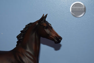 Custom Made-LE of 750-Lonesome Glory Mold-Breyer Traditional