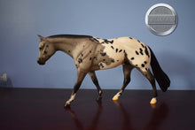Load image into Gallery viewer, Zipped in Black Magic-Breyerfest Exclusive-Zippo Pine Bar Mold-Breyer Traditional