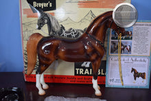 Load image into Gallery viewer, Trailblazer-Vintage Club Exclusive-Western Horse Mold-Breyer Traditional