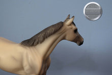 Load image into Gallery viewer, Grey Thoroughbred from WEG Set-TB ONLY-Best in Show Thoroughbred Mold-Breyer Classic
