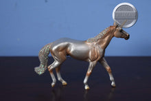 Load image into Gallery viewer, Sunchaser-Fairytale Stablemate Club-Walking Thoroughbred Mold-Breyer Stablemate