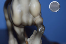 Load image into Gallery viewer, Grey with Red Bobs-Shire Mold-Breyer Classic