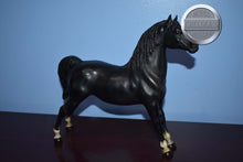 Load image into Gallery viewer, Vintage Black Morgan-Stretch Morgan Mold-Breyer Traditional