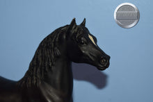 Load image into Gallery viewer, Vintage Black Morgan-Stretch Morgan Mold-Breyer Traditional
