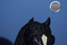 Load image into Gallery viewer, Vintage Black Morgan-Stretch Morgan Mold-Breyer Traditional