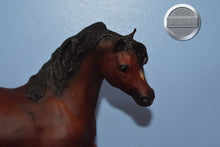 Load image into Gallery viewer, Ofir Sire of Witez II-Black Stallion Mold-Breyer Traditional