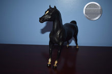 Load image into Gallery viewer, Vintage Black Morgan-Stretch Morgan Mold-Breyer Traditional