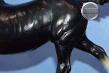 Load image into Gallery viewer, Black Beauty-4 Socks-Black Beauty Mold-Breyer Traditional