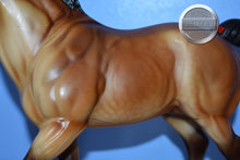 Load image into Gallery viewer, Maximus-Breyerfest Exclusive-Clydesdale Stallion Mold-Breyer Traditional