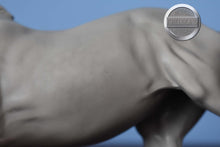 Load image into Gallery viewer, Astrid-Matte-Premier Club Exclusive-Fjord Pony Mold-Breyer Traditional