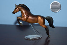 Load image into Gallery viewer, Jumper from Parade of Breeds III-Warmblood Jumper Mold-Breyer Stablemate