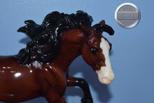 Load image into Gallery viewer, Shelby-Bay Version-Nokota Mold-Breyer Traditional