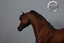 Load image into Gallery viewer, Ofir Sire of Witez II-Black Stallion Mold-Breyer Traditional