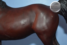 Load image into Gallery viewer, Ofir Sire of Witez II-Black Stallion Mold-Breyer Traditional