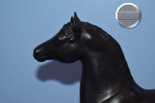 Load image into Gallery viewer, Vintage Black Morgan-Stretch Morgan Mold-Breyer Traditional