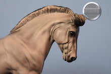 Load image into Gallery viewer, Astrid-Matte-Premier Club Exclusive-Fjord Pony Mold-Breyer Traditional