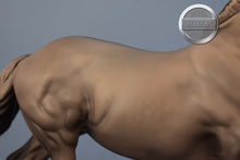 Load image into Gallery viewer, Astrid-Matte-Premier Club Exclusive-Fjord Pony Mold-Breyer Traditional