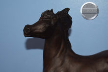 Load image into Gallery viewer, Durango-Smoky Mold-Breyer Traditional
