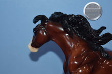 Load image into Gallery viewer, Shelby-Bay Version-Nokota Mold-Breyer Traditional