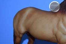 Load image into Gallery viewer, Apricot Dun Adios-Adios Mold-Breyer Traditional