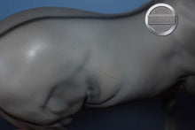 Load image into Gallery viewer, Astrid-Matte-Premier Club Exclusive-Fjord Pony Mold-Breyer Traditional