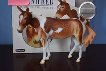Load image into Gallery viewer, Winifred-No Bag-Premier Club Exclusive-Mule Mold-Breyer Traditional