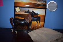Load image into Gallery viewer, Zafirah-No COA-Premier Club Exclusive-Original on the Mold-Breyer Traditional