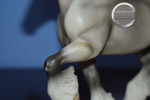 Load image into Gallery viewer, Grey with Red Bobs #2-Shire Mold-Breyer Classic