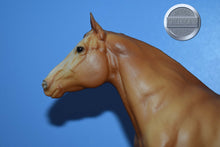 Load image into Gallery viewer, Apricot Dun Adios-Adios Mold-Breyer Traditional