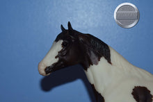 Load image into Gallery viewer, Western Stock Horse (from JCP set)-Stock Horse Stallion Mold-Breyer Traditional