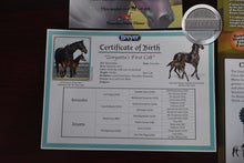 Load image into Gallery viewer, Lot of COA&#39;s-SELECT Your COA-Breyer Accessories