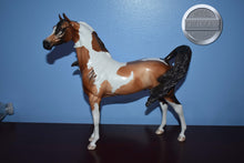 Load image into Gallery viewer, Biarritz-Artisan Hall Series-LE of 75-Arabian-Peter Stone